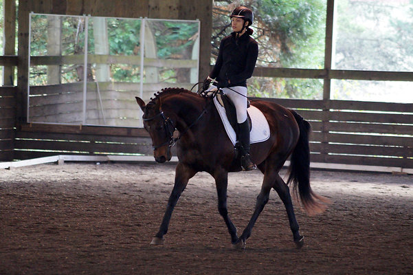 d289768164952eb9bc3393206cf4c526