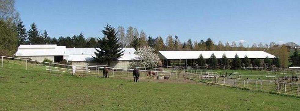 05bc7d52ed0309f1cf60d69751075888