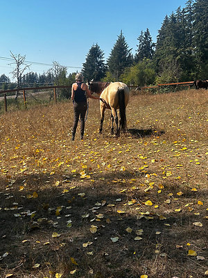 1e87e0e3115bf877e8eec0bf5e57c733