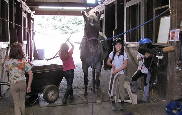 c8ed7fea5bcef814179856922c1d364c