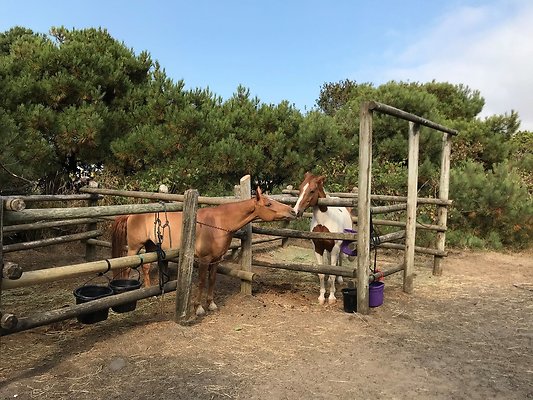 1790997624288503 1117132534266724352 n