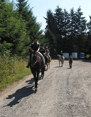 30721ac1cb1f1b3a5835495726d5b507