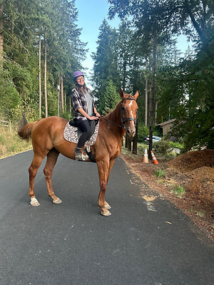 aaac1f6c1891c26a5f653fcb93a1cc7d