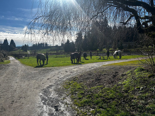 7d0b9a45cbb75cb8be4c71fd5ad07e80