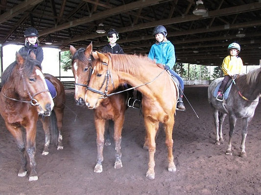 582eaf64d3073f10c14adbf095e56695