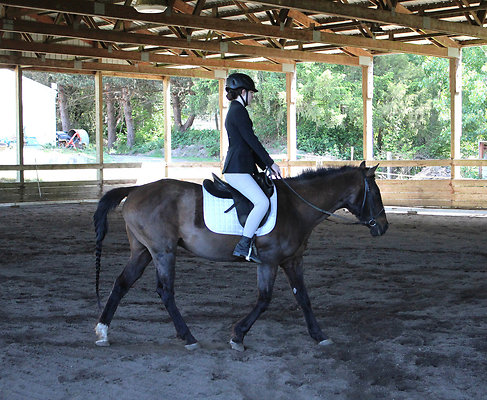 bf7b84a46267f9dc9404fdf0b38831dc