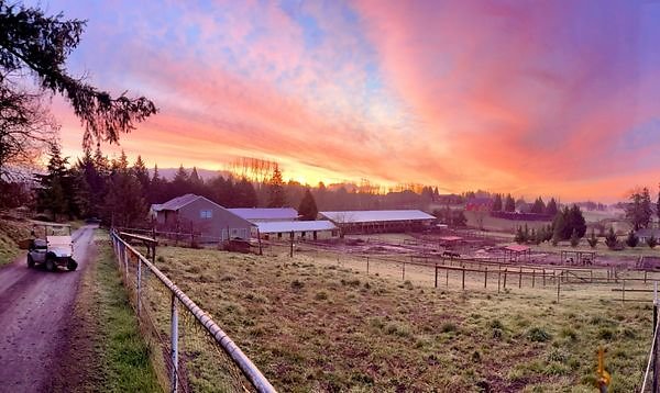 03 Anamchara Stables 30 Minutes