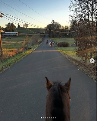 Screenshot 2025-06-14 at 9.48.52 AM