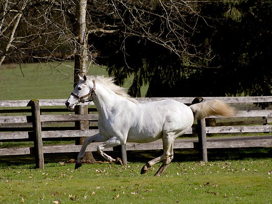 1217129903757231 5428176719408210783 n