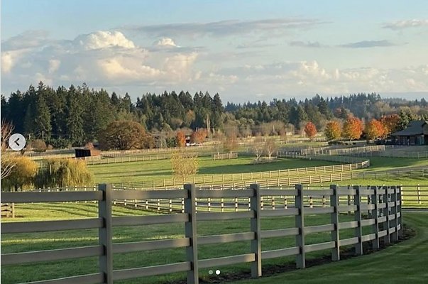 Screenshot 2025-06-14 at 9.53.56 PM