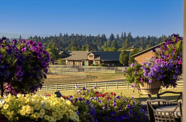 Screenshot 2025-06-14 at 9.52.52 PM