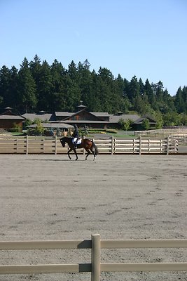 812c44ea3a768ad6bd2abeea5c6bdad5