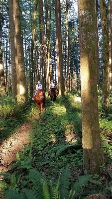 497638792367111 6012262287946883283 n