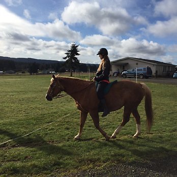 22 Dream Ridge Stables 35 Minutes