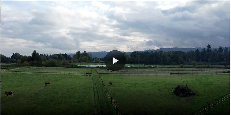 Screenshot 2025-06-14 at 8.32.09 AM