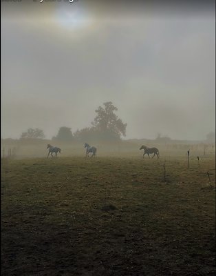 Screenshot 2025-06-14 at 8.30.31 AM