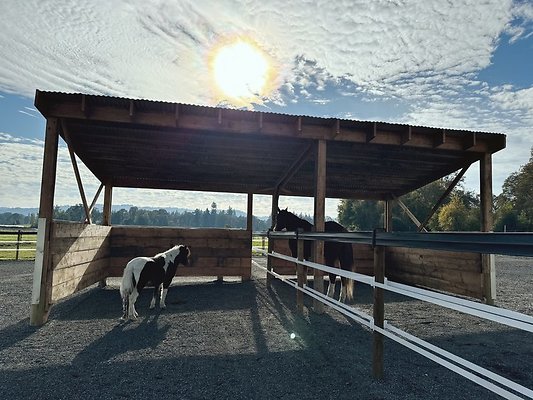 56C17B92-38AB-4664-AB03-E0E12A588329 - Processed with VSCO with m3 preset