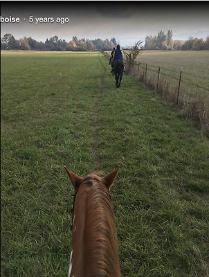 Screenshot 2025-06-14 at 8.30.43 AM