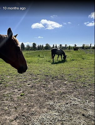 Screenshot 2025-06-14 at 8.29.28 AM