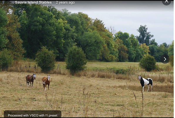 Screenshot 2025-06-14 at 8.29.18 AM