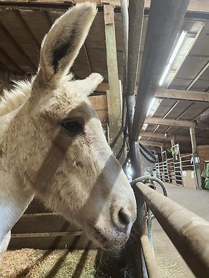 F3A3EDE1-3F96-488B-863F-222A8041AF29 - Processed with VSCO with m3 preset