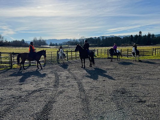 07 Sauvie Island Stables 30 Minutes