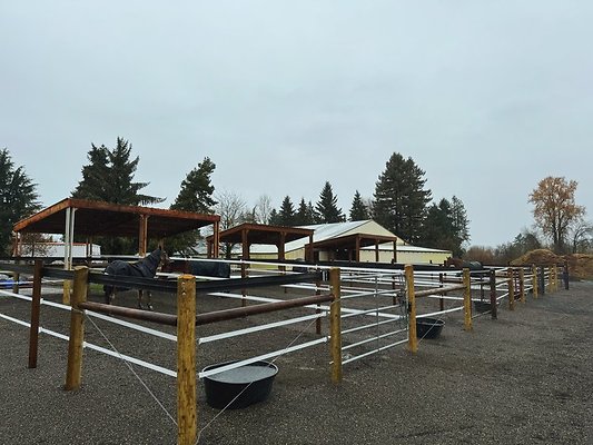 B8E9CDDC-B50B-4A6C-8D26-7348764E20FE - Processed with VSCO with m3 preset