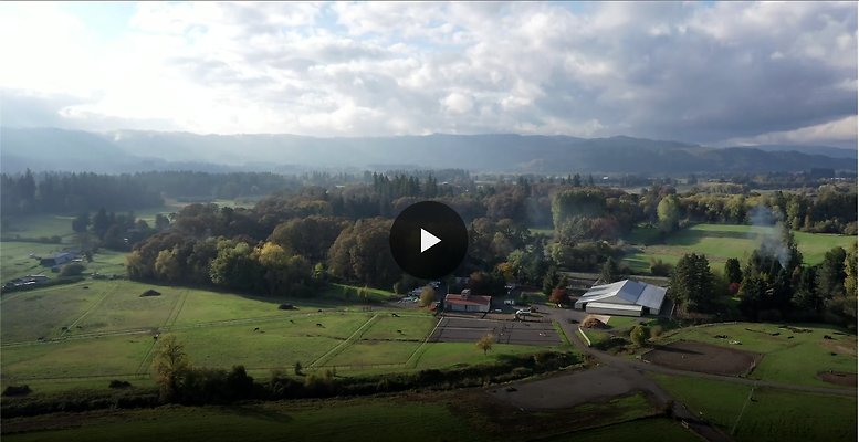 Screenshot 2025-06-14 at 8.31.27 AM