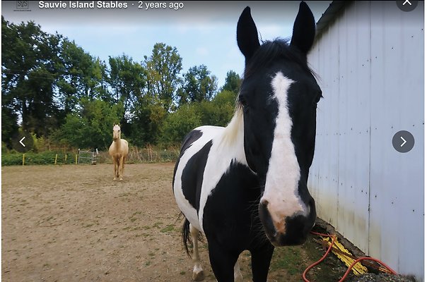 Screenshot 2025-06-14 at 8.29.44 AM