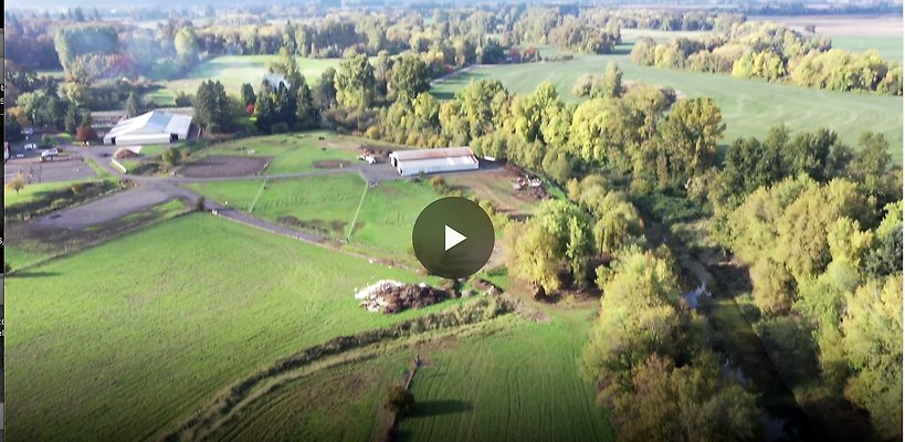 Screenshot 2025-06-14 at 8.31.50 AM