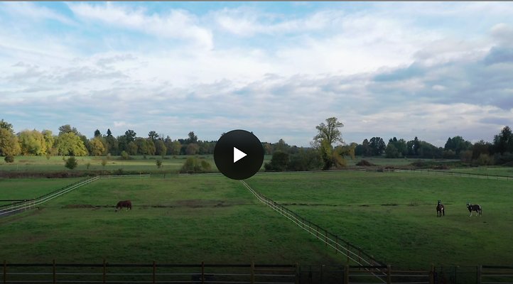 Screenshot 2025-06-14 at 8.31.15 AM