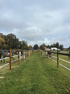 C0114A19-B1B4-4924-AE1F-D201AC5A0B87 - Processed with VSCO with m3 preset