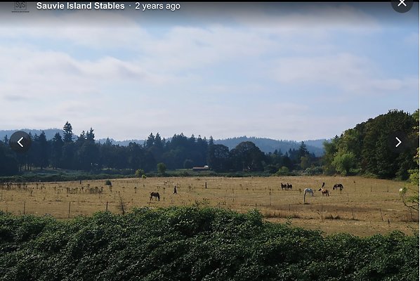 Screenshot 2025-06-14 at 8.30.25 AM