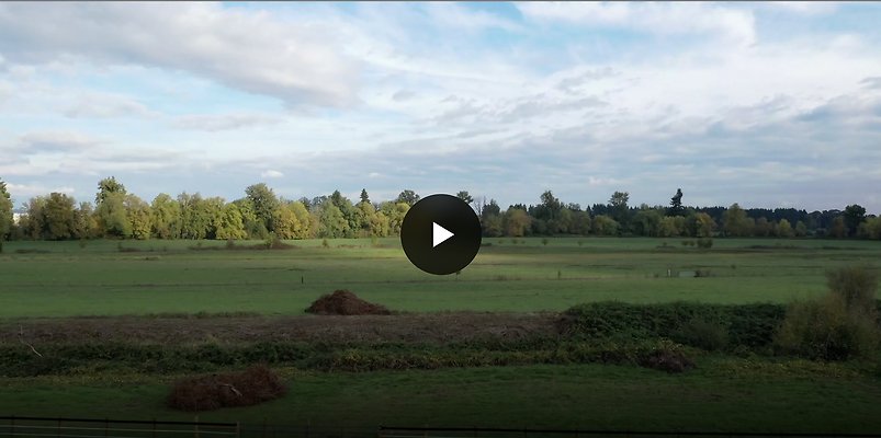 Screenshot 2025-06-14 at 8.32.24 AM