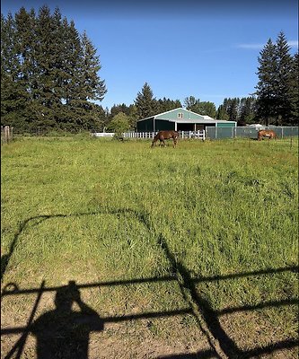 Screenshot 2025-06-14 at 2.40.49 PM