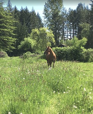 Screenshot 2025-06-14 at 2.41.01 PM