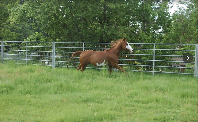 Screenshot 2025-06-14 at 2.40.08 PM