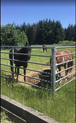 Screenshot 2025-06-14 at 2.39.55 PM