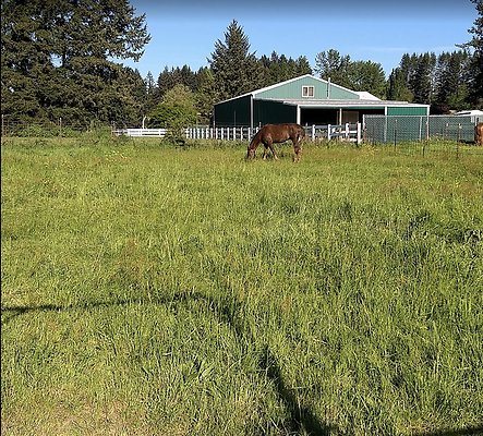 Screenshot 2025-06-14 at 2.40.40 PM