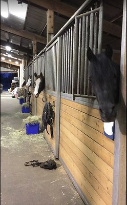 Screenshot 2025-06-14 at 2.40.32 PM