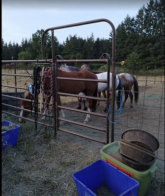 Screenshot 2025-06-14 at 2.41.17 PM