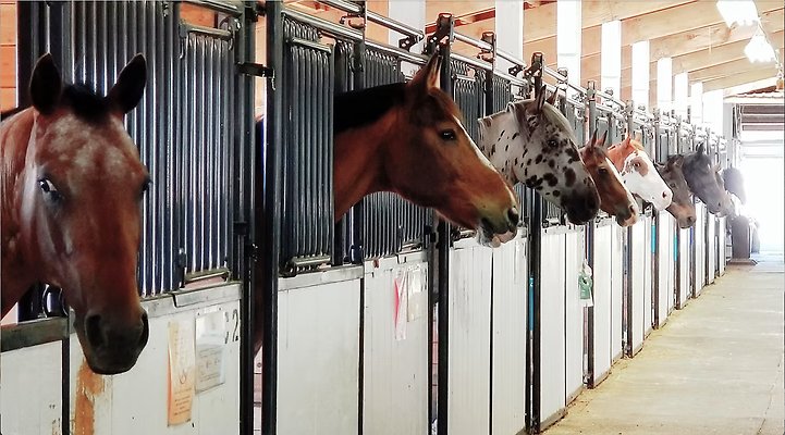 Screenshot 2025-06-14 at 6.33.58 PM