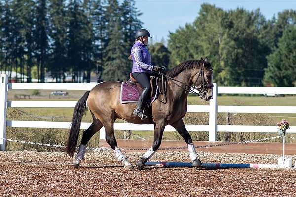 Screenshot 2025-06-14 at 6.33.02 PM