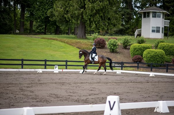 Screenshot 2025-06-14 at 6.29.02 PM