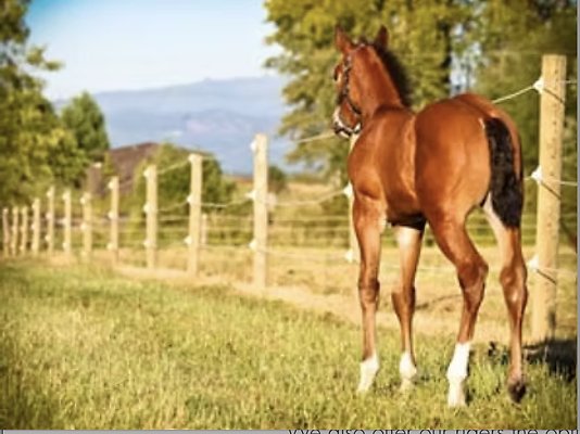 Screenshot 2025-06-14 at 6.23.59 PM