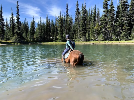 Screenshot 2025-06-14 at 6.32.12 PM