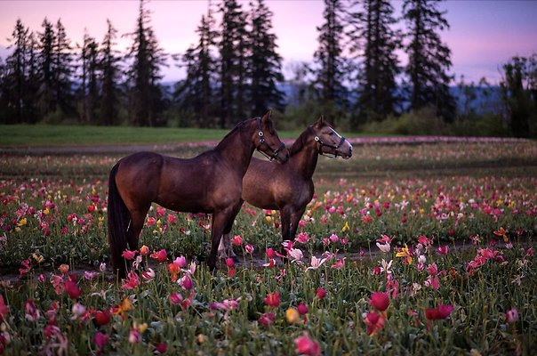 Screenshot 2025-06-14 at 6.34.07 PM