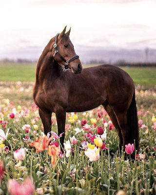 Screenshot 2025-06-14 at 6.34.26 PM