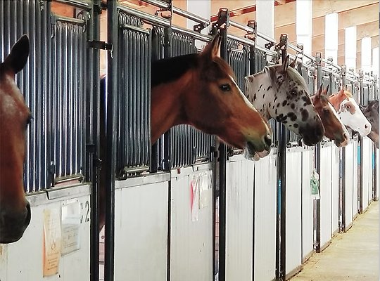 Screenshot 2025-06-14 at 6.24.24 PM