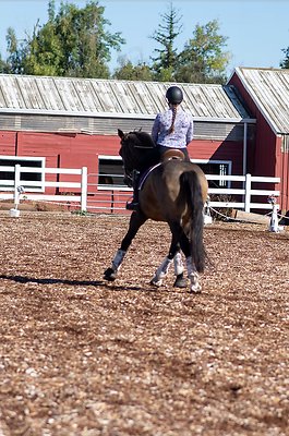 Screenshot 2025-06-14 at 6.32.23 PM